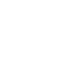 Rencal-home-video-play-icon